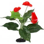 Rostlina REPTI PLANET kvetoucí Anthurium 40 cm - Zoopartner Prosinec_c – Zboží Mobilmania