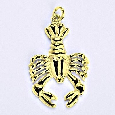 Čištín Zlatý přívěsek, znamení zvěrokruhu rak P 941 – Zboží Dáma