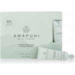 Paul Mitchell Keratinová kúra pro poškozené vlasy Awapuhi Wild Ginger (Keratriplex Treatment) 10 x 10 ml – Hledejceny.cz