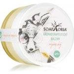 Babyphoria Soaphoria organický balzám při nachlazení 50 ml – Sleviste.cz