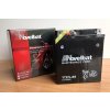 Motobaterie Novelbat YTX7L-BS