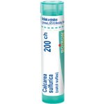 CALCAREA SULFURICA POR 200CH GRA 1X4G – Hledejceny.cz