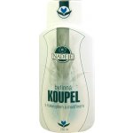 Naděje Přírodní koupel dýchací cesty 250 ml – Hledejceny.cz