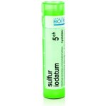SULFUR IODATUM POR 5CH GRA 4G – Hledejceny.cz