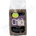 Green Apotheke Chia semínka 250 g – Zboží Mobilmania