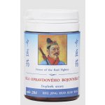 TCM Herbs Síla opravdového bojovníka 100 tablet – Hledejceny.cz
