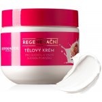 Dermacol Karité regenerační tělový krém 250 ml – Zboží Mobilmania