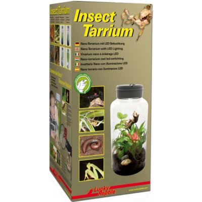 Lucky Reptile Insect Tarrium 15 x 15 x 25 cm, 5 l