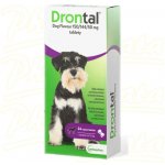 Drontal Plus Flavour 24 tbl – Hledejceny.cz