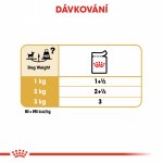 Royal Canin Adult Chihuahua 12 x 85 g – Zboží Mobilmania