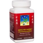 TCM Herbs Nápoj pěti hvězd z Gynostemmy pětilisté 100 g – Hledejceny.cz