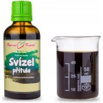 Bylinné kapky Svízel přítula Pavlovy bylinné kapky tinktura 50 ml – Hledejceny.cz