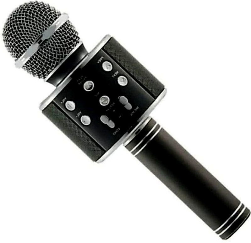 Mikrofon Karaoke mikrofon Eljet Globe Black od 839 Kč - Heureka.cz