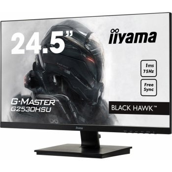 iiyama G2530HSU