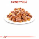 Royal Canin Kitten Instinctive jelly 85 g – Sleviste.cz