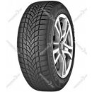 Dayton DW510 205/55 R16 91T