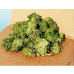 Heki Kittler Islandský mech šedozelený 30 g 3217 – Zboží Dáma