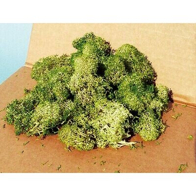 Heki Kittler Islandský mech šedozelený 30 g 3217 – Zboží Dáma