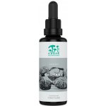 Kääpä Mushrooms Shiitake BIO tinktura 50 ml – Hledejceny.cz