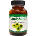 Herbal Hills Arjunahills Bylinné kapsle 60 kapslí – Hledejceny.cz