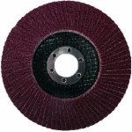 Levior Kotouč lamelový 125 mm P40 21786 – Sleviste.cz