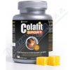 Doplněk stravy DCM COLLAGEN Colafit SPORT 90 kostiček