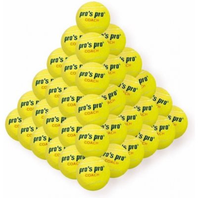 Pros Pro Coach 60 ks – Sleviste.cz