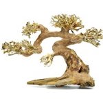 Macenauer Claw Bonsai XS 25x18 cm – Zboží Dáma Macenauer Claw Bonsai XS 25x18 cm – Zboží Dáma