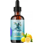 BrainMax Vegan Omega Kids, omega-3 pro děti, 90 ml – Hledejceny.cz