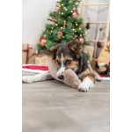 Trixie Xmas Bone kost 24 cm – Zboží Dáma