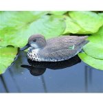 Ubbink Kachna Teal – Zboží Dáma