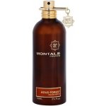 Montale Aoud Forest parfémovaná voda unisex 100 ml tester – Hledejceny.cz