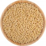 Vital Country Kuskus perlový BIO 0,5 kg – Zboží Mobilmania