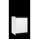 Tefcold UR 200 W1 – Zboží Dáma