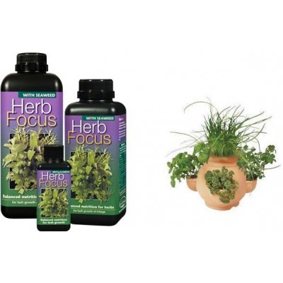 Growth Technology Herb Focus 300 ml