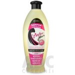 Nutricius Perfect Hair kofeinový šampon 550 ml – Hledejceny.cz