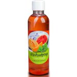 ShishaSyrup Melasa Ledová melodie 100 ml – Hledejceny.cz