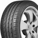 Delinte DH2 205/55 R16 94W