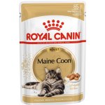 Royal Canin Maine Coon gravy 85 g – Sleviste.cz