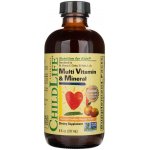 ChildLife Essentials Multi Vitamin & Mineral multivitamin s minerály pomeranč a mango 237 ml – Hledejceny.cz