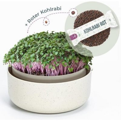 OraGarden MicroZelenás sada klíčků s červenými semeny kedluben 30 GR – Zboží Mobilmania
