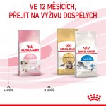 Royal Canin Second Age Kitten 0,4 kg – Zboží Dáma