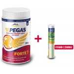 Vitar Veterinae Artivit Pegas Forte 7 prášek 700 g – Zboží Mobilmania