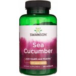 Swanson Sumýši Sea Cucumber 500 mg 100 kapslí – Hledejceny.cz