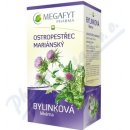 Megafyt Ostropestřec mariánský bylinný čaj 20 x 2 5 g