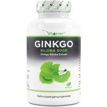 Vit4ever Ginkgo Biloba extrakt 6000 mg 365 tablet