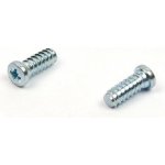 Eurovrut 6,3x13 mm půlkulatá hlava zinek bílý – Hledejceny.cz