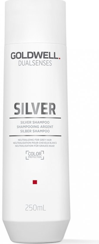 GOLDWELL Dualsenses Silver stříbrný šampon na vlasy 250 ml