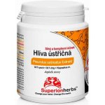 Superionherbs Hlíva ústřičná 90 kapslí – Hledejceny.cz