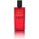 Davidoff Hot Water toaletní voda pánská 110 ml